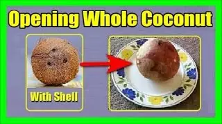 How to Easily Open a Coconut at Home: Step-by-Step Guide