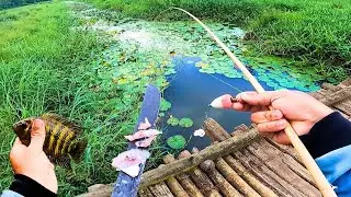 ELES BOTARAM PARA CORRER DO C&Oacute;RREGO, DEPOIS FOI S&Oacute; AS BOCUDAS VOADORAS! Pescaria Caipira
