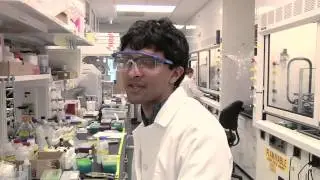 What Goes On in a Biointerfaces Lab?