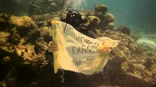 10 Life Lessons from Scuba Diving --- To my daughter, Farah... (Dahab, Egypt)