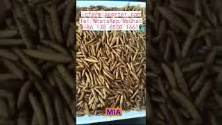 Color Sorter Machine Control Software and PCB Assembly India Turkey Egypt