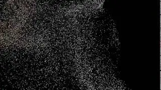 pop solver simulation