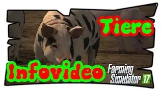 LS17 - INFOVIDEO - Landwirtschafts Simulator - LS 17 Infos - Die Tiere sind los - Deutsch