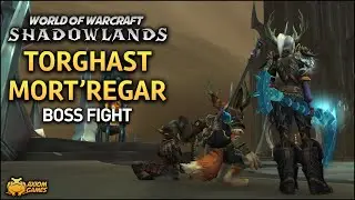 WoW: Shadowlands - Torghast Mort'regar Boss Fight