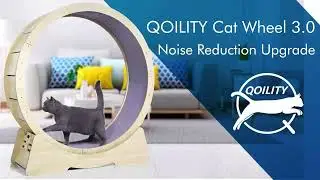 Cat Exercise Wheel - Low-Noise Cat Wheels for Indoor Cats Fitness & Health
