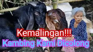 Kami Kemalingan!!! Uang Jutaan Raib