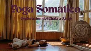 Yoga Som&aacute;tico para Sanar el Chakra Sacro | Liberaci&oacute;n Emocional y Poder Interior