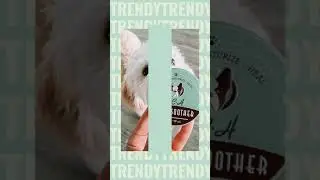Organic Natural paw and nose Nourishing Moisturizing Repairing