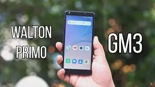 Walton Primo GM3 Review