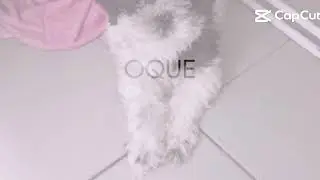 Aquarela 