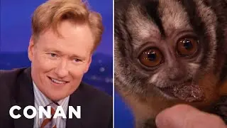 Conan Tangles With An Owl Monkey | CONAN on TBS