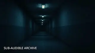 HushFest 1999&ndash;2003 &mdash; Sub Audible Techno Field Archive