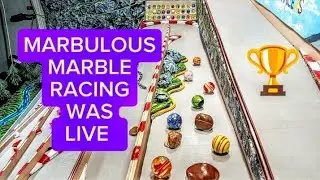 MARBULOUS MARBLE RACING is live. MARBLE RACE. MARBLE RUN