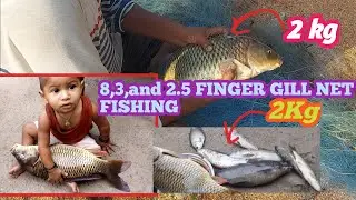 Rohu fishing/common carp fishing/8 Finger,3 Finger fishing