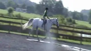 Apollo