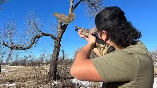 Urban Backyard Squirrel Hunting! (CATCH CLEAN COOK)