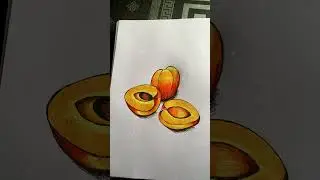 *DRAWING OF A APRICOT *#ART