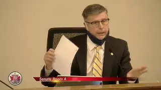 Senate of Virginia: Commerce and Labor: Energy on 2022-01-31 [Archival]