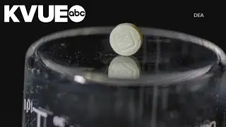 Grants awarded to several Austin-area groups working to address opioid crisis