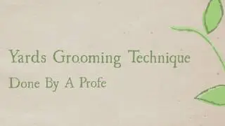 Get the Professional Landscaping Services