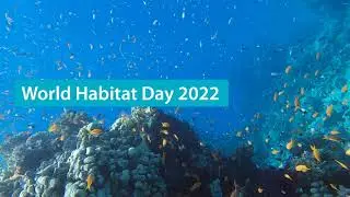 World Habitat Day 2022 | Thomson environmental consultants