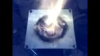 Biomass Fuel Options