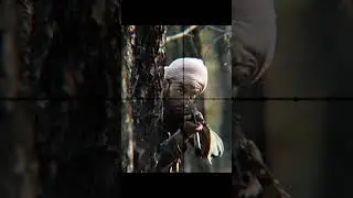 Marcus Luttrell - Lone Survivor 😨😥#edit #shorts #snowfall #navyseals