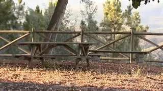 Portugal Hoje - Silvares