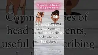11 Types of head movements🤷common English words | English vocabulary