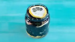 An immune tonic with a pleasant taste: aronia with lemon and ginger macerated in honey, in a jar