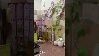 Kitchen decor| plants