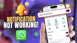 How to Fix WhatsApp Notification Not Working on iOS Device | WhatsApp Alerts Not Showing