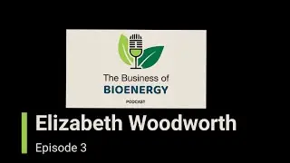 Shaping the Narrative: Sustainability, Greenwashing & Credibility