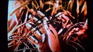 Mossback - Lonesome Dove