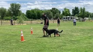 Blue Protection 2 Obedience