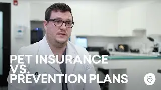 Pet Insurance vs. Prevention Plans: The Difference