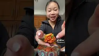 Sa Nguyen TikTok Compilation 24