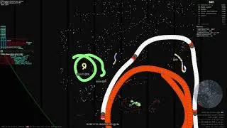 Lolsiess Slither Live Stream