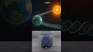 Fun fact about DNA