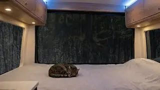 Cozy Van Rain at Night 🌙 Relaxing Sounds for Sleep