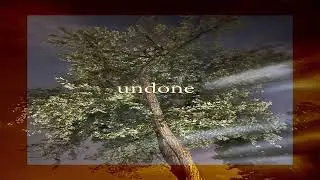 JAYTEKZ - undone