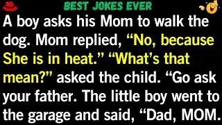 New Funny Jokes | &ldquo;She&rsquo;s in Heat?&rdquo; &mdash; A Little Boy&rsquo;s Innocent Question Ends in Chaos