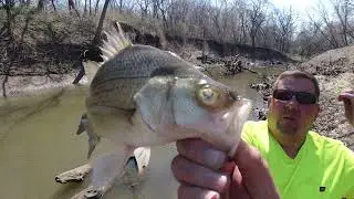 OFF the SNAG Creek Fishing...100 snags and 200 fish... 2022 White Bass Run/Spawn.