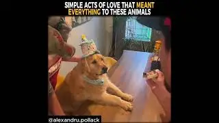 Simple Acts Of Love That Mean Everything To These Animals.