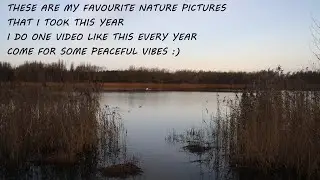 2025 captured in nature pictures