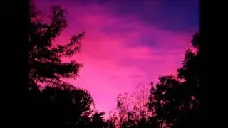 David Shaw - Arabian Nights (Flash Brothers Remix)