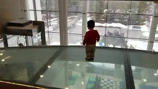 Wesley on a glass floor | Ecotarium, 3/15/19