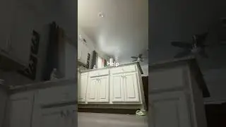 Help