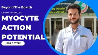 USMLE Step 1 - Cardiac Physiology: Myocyte Action Potential