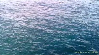 Ultra low flight over water [Very bad quality]